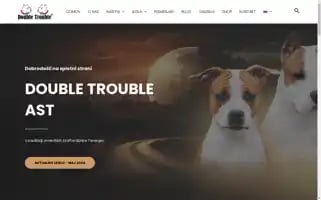 Doubletrouble-ast.com Screenshot 2024-06-14 18:17:23