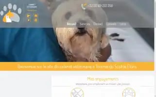 Veterinaire-tournai.be Screenshot 2024-04-17 05:33:21