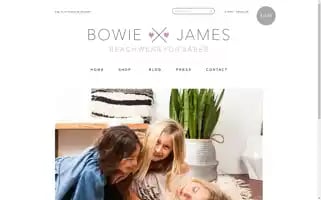 Bowiejames.com Screenshot 2024-05-05 05:58:22