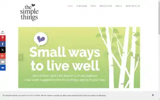 Thesimplethings.com Screenshot 2024-07-02 13:25:56