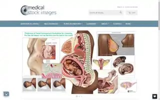 Medicalstockimages.net Screenshot 2024-06-30 20:15:55