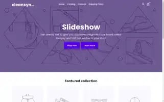 Cleansynergy.store Screenshot 2024-05-04 00:57:05