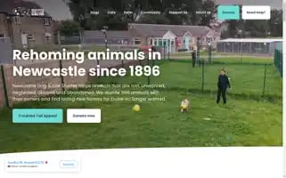 Dogandcatshelter.com Screenshot 2024-06-11 19:07:56