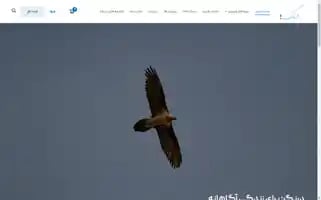 Derang.team Screenshot 2024-05-26 13:15:33