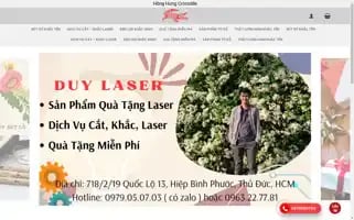 Duylaser.com Screenshot 2024-05-24 10:49:15