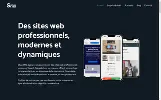 Smsagency.tech Screenshot 2024-06-26 11:17:09