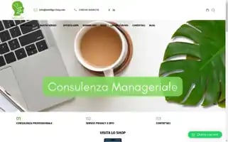 Intelligo-italy.com Screenshot 2024-06-17 19:08:55