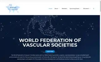 Worldfvs.org Screenshot 2024-07-07 22:49:58