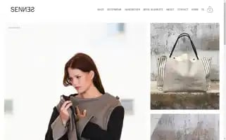 Sennes.org Screenshot 2024-07-05 12:48:32