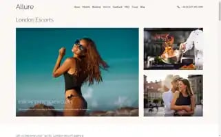 Agencyallure.com Screenshot 2024-06-13 06:20:07