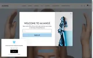 Aliange.com.au Screenshot 2024-05-05 03:32:59