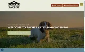 Sachsevet.com Screenshot 2024-05-16 15:58:56