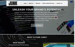 Purejunkmedia.com Screenshot 2024-06-19 04:31:43