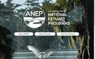 Nationalestuaries.org Screenshot 2024-07-05 21:15:09