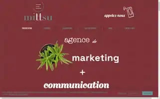 Mittsu.fr Screenshot 2024-07-04 14:45:17