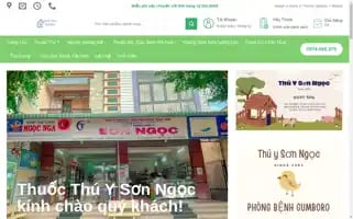 Thuysonngoc.com Screenshot 2024-05-27 11:46:34