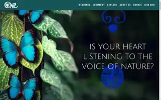 Natureevolutionaries.com Screenshot 2024-06-19 01:46:08