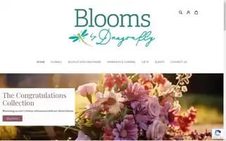 Bloomsbydragonfly.com Screenshot 2024-05-15 14:46:38