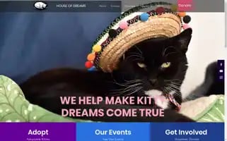 Kittydreams.org Screenshot 2024-07-06 11:52:01