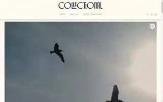 Thecollectional.com Screenshot 2024-06-30 23:51:56