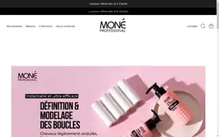 Moneprofessional.fr Screenshot 2024-05-03 11:35:47