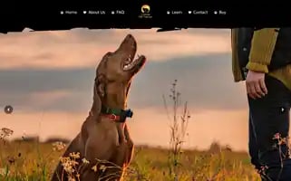 Caninecbdtherapy.com Screenshot 2024-07-03 00:52:52
