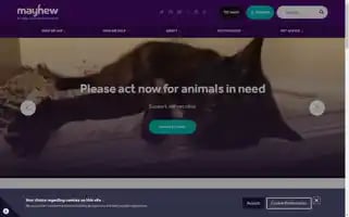 Themayhew.org Screenshot 2024-05-05 20:43:36