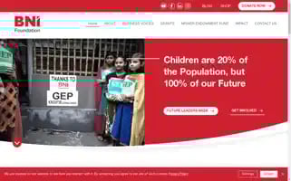 Bnifoundation.org Screenshot 2024-07-05 05:15:32