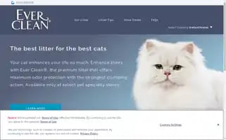 Everclean.com Screenshot 2024-06-29 07:31:23