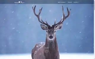 Doneazaoxigen.ro Screenshot 2024-06-30 04:11:26