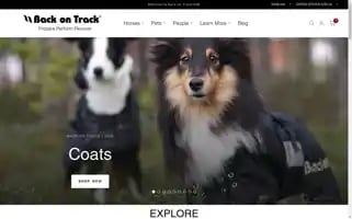 Backontrack.com Screenshot 2024-05-04 15:36:43