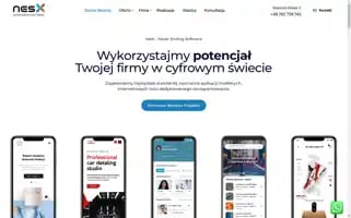 Nesx.io Screenshot 2024-05-25 14:03:39