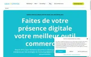 Opus-numerica.com Screenshot 2024-06-30 17:32:44