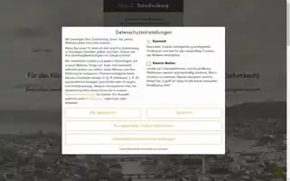 Schellenberg-consulting.com Screenshot 2024-06-18 17:43:27
