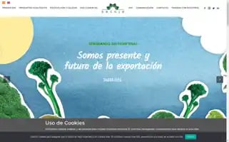 Sacoje.com Screenshot 2024-07-02 17:42:48