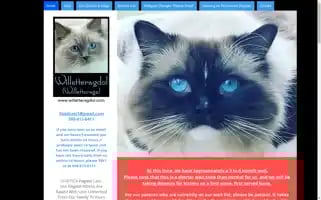 Willetteragdol.com Screenshot 2024-07-09 08:25:30