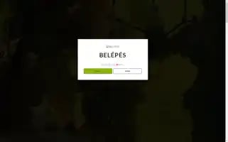 Benkoborhaz.hu Screenshot 2024-06-17 19:07:13