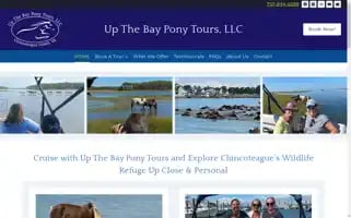 Upthebayponytours.com Screenshot 2024-04-25 03:38:51