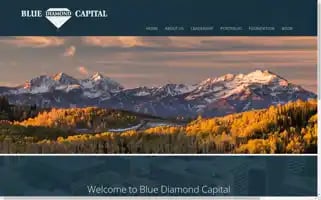 Bluedicap.com Screenshot 2024-07-02 18:48:47