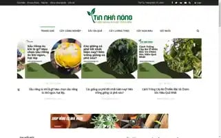 Tinnhanong.com Screenshot 2024-05-25 01:30:51