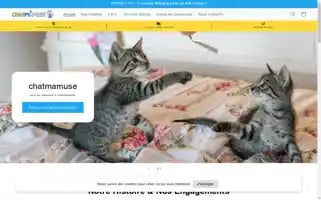 Chatmamuse.com Screenshot 2024-04-27 07:39:57