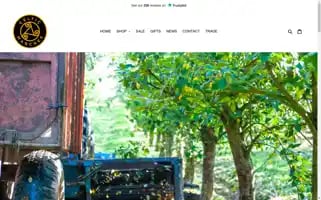 Celtic-marches.myshopify.com Screenshot 2024-05-04 22:46:53