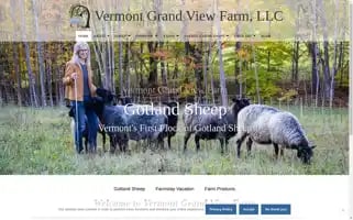 Grandviewfarmvt.com Screenshot 2024-06-12 09:52:44