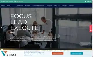 Violand.com Screenshot 2024-07-06 00:27:16