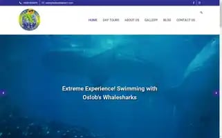 Barkadatriptours.com Screenshot 2024-04-14 20:58:53
