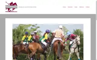 Polopromoters.com Screenshot 2024-05-20 08:23:22