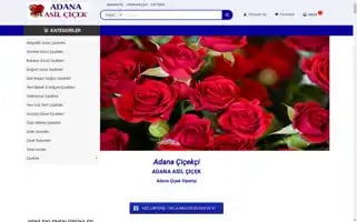 Adanaasilcicek.com Screenshot 2024-05-23 14:58:55