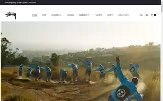 Stussyclothingstore.com Screenshot 2024-05-25 08:40:43