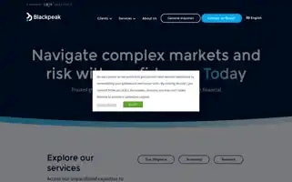Blackpeakgroup.com Screenshot 2024-06-28 18:36:12