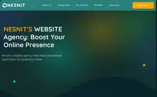 Nesnit.com Screenshot 2024-05-27 09:12:49